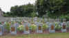 Oeren.jpg (1104059 byte)