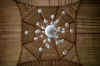 Soffitto2.jpg (233089 byte)