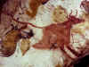 Lascaux19.jpg (335185 byte)