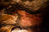 Lascaux6.jpg (396344 byte)