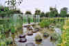 Giardino.jpg (337540 byte)