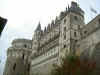 Amboise5.jpg (130813 byte)