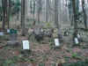 Uhlans.jpg (514026 byte)