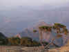 Simien3.jpg (412620 byte)