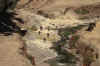 Simien6.jpg (351730 byte)