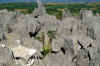 Tsingy3.jpg (418169 byte)