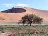 Namib2.jpg (119215 byte)