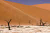 Namib8.jpg (83490 byte)