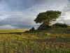 Serengeti12.jpg (250946 byte)
