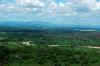 Selous4.jpg (279614 byte)