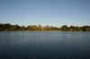Selous7.jpg (132434 byte)