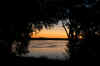 Selous9.jpg (150297 byte)