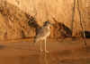 ManaPools6.jpg (218683 byte)