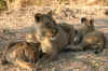 ManaPools7.jpg (226825 byte)