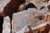 Talampaya4.jpg (618435 byte)