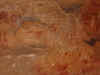 Capivara5.jpg (80912 byte)