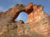 Capivara.jpg (230814 byte)