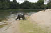 Pantanal3.jpg (138718 byte)