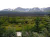 Kluane4.jpg (139681 byte)