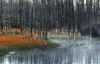 WoodBuffalo3.jpg (60165 byte)