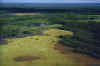 WoodBuffalo5.jpg (60980 byte)