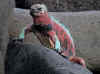 Iguana.jpg (323678 byte)