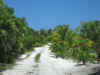 Sian2.jpg (272655 byte)