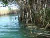 Sian3.jpg (147067 byte)