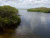 Sian7.jpg (294666 byte)