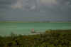 Sian8.jpg (181228 byte)