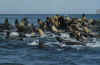 Vizcaino16.jpg (81162 byte)
