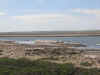 Vizcaino6.jpg (76945 byte)