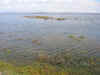 Vizcaino9.jpg (105382 byte)