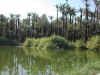 GolfoCalifornia4.jpg (122651 byte)
