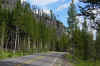 Yellowstone4.jpg (155468 byte)