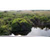Everglades.jpg (116108 byte)