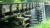 GreatSmoky11.jpg (427639 byte)