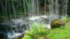 GreatSmoky13.jpg (379271 byte)