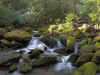 GreatSmoky5.jpg (141742 byte)