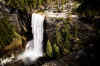 Yosemite6.jpg (353055 byte)