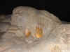 Carlsbad6.jpg (149382 byte)
