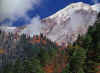 Jiuzhaigou3.jpg (480366 byte)