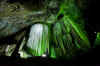 FurongCave.jpg (390405 byte)