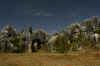 StoneWall.jpg (316026 byte)