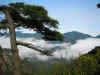 Cina Sanqing3.jpg (92594 byte)