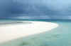 Tubbataha.jpg (128202 byte)