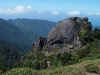 Yakushima6.jpg (118123 byte)