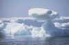 Shiretoko6.jpg (113514 byte)