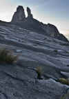 Kinabalu12.jpg (171868 byte)