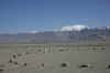 Pamir5.jpg (138254 byte)